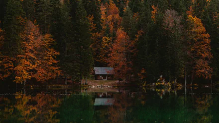 A serene 4K Ultra HD image of a cabin reflecting on a lake, surrounded by a vibrant fall forest in Italy, captured in stunning nature photography.