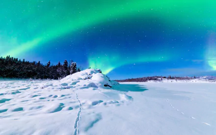 Alaska nature aurora borealis HD Desktop Wallpaper | Background Image