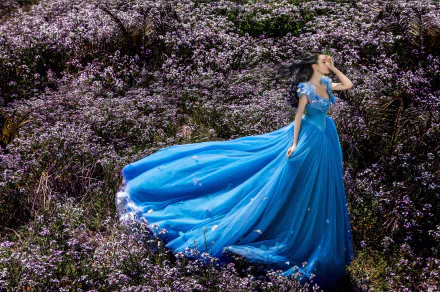  Woman in Blue Dress among Flowers
