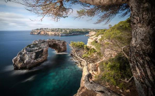 4K Ultra HD PC desktop wallpaper: coastal nature scene with a rocky arch over turquoise water, cliffs and windswept pines under a blue sky.