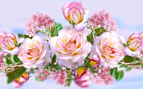 Artistic Flower Flowers Rose HD Wallpaper | Background Image