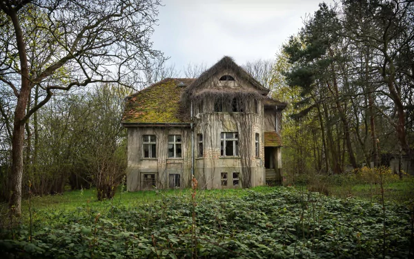 HD desktop wallpaper featuring an abandoned, man-made house surrounded by overgrown vegetation and trees in a serene, natural setting.