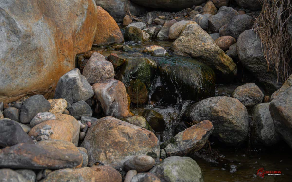  Danish stream