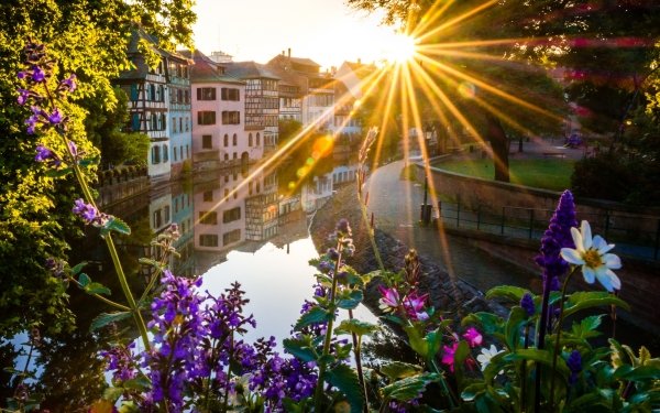 Man Made Strasbourg Cities France House Sunbeam Flower HD Wallpaper | Background Image
