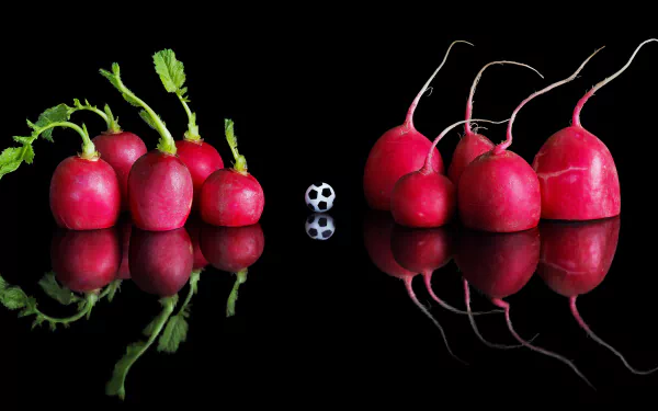 food radish HD Desktop Wallpaper | Background Image