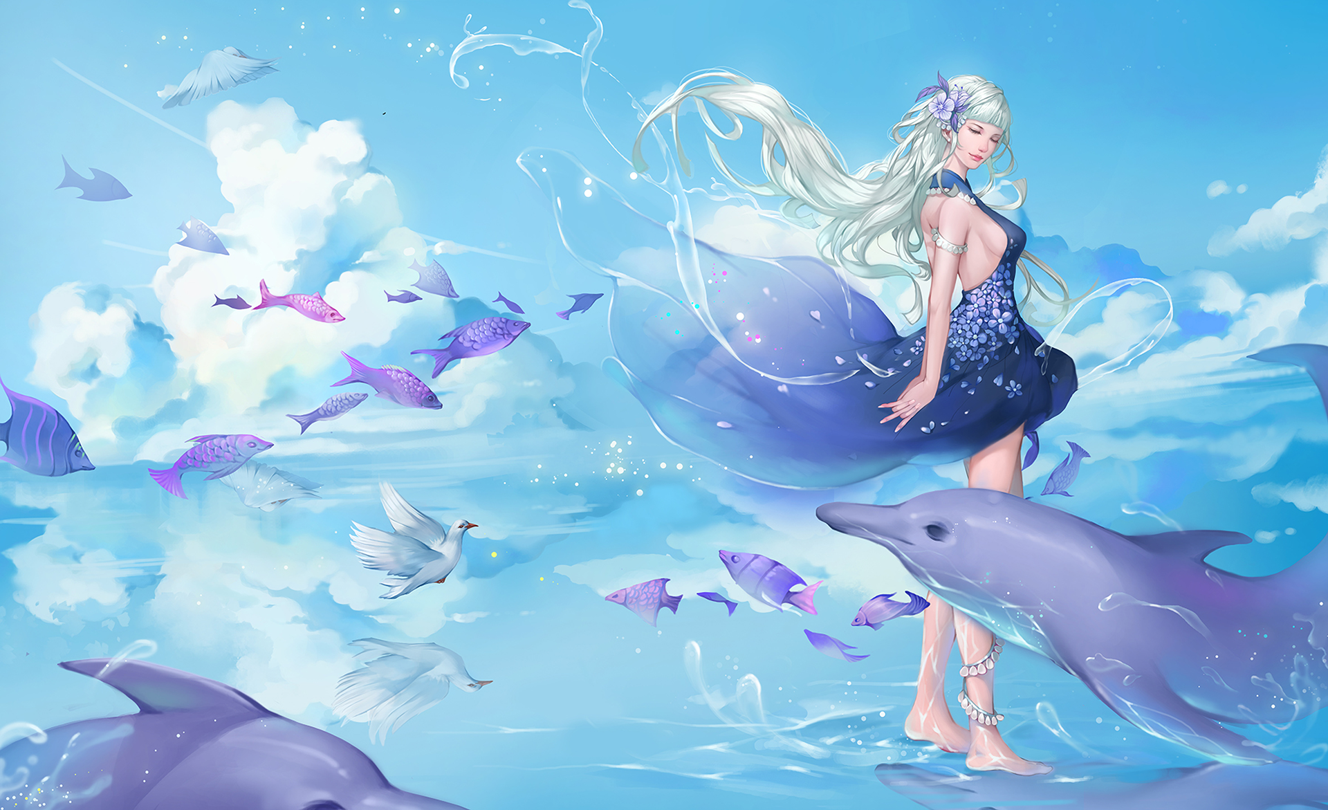 Dolphin, Mermaid - Zerochan Anime Image Board