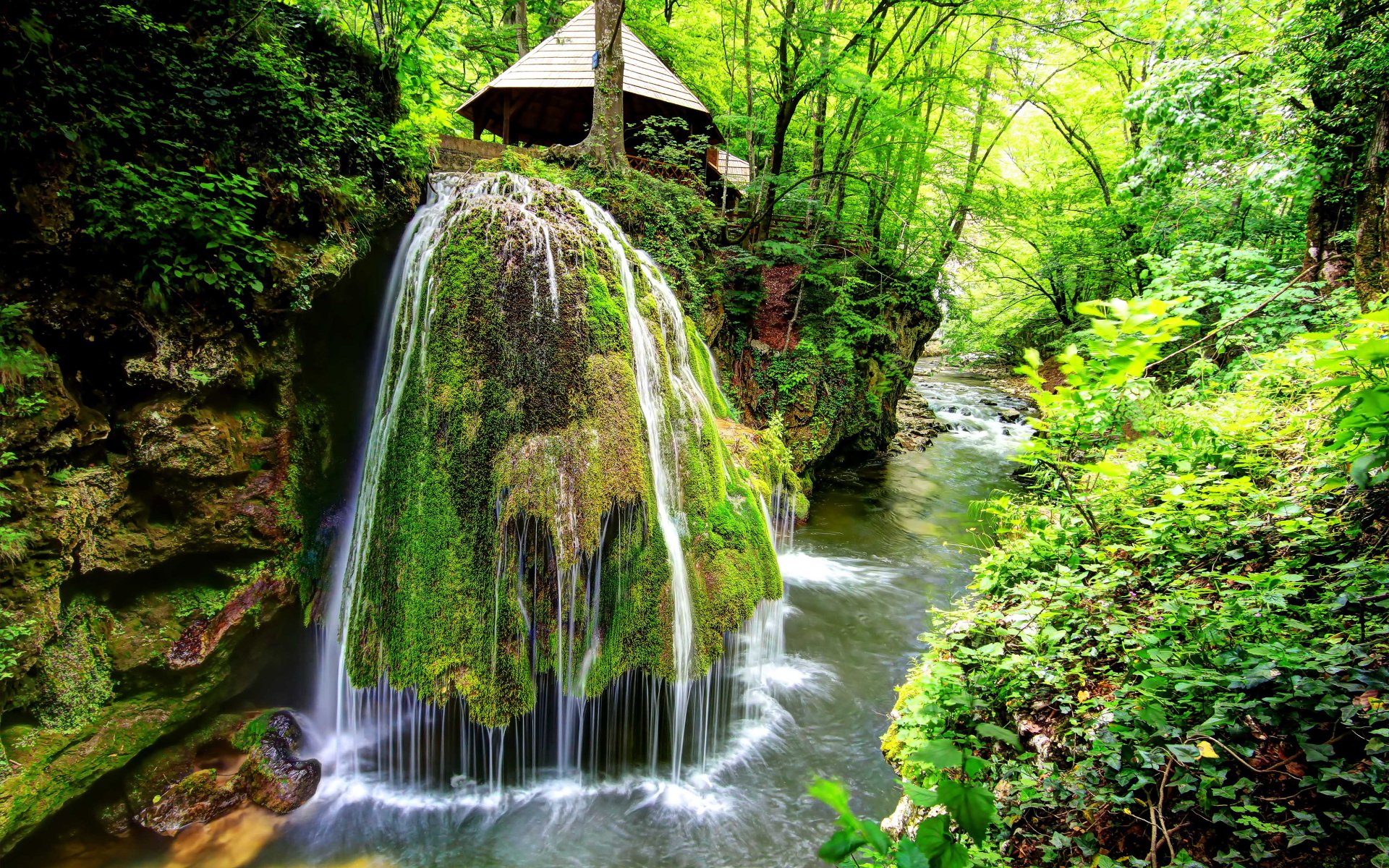 Download Forest River Nature Waterfall 4k Ultra HD Wallpaper ...