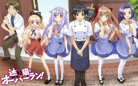 A vibrant HD wallpaper from the anime Mayoi Neko Overrun! featuring a group of characters in a lively setting, showcasing their unique outfits and charming expressions.