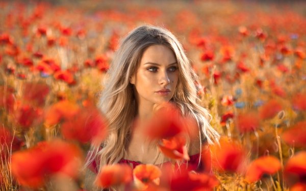 Women Model Blonde Depth Of Field Summer Red Flower Poppy HD Wallpaper | Background Image