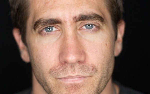 Celebrity Jake Gyllenhaal Actor Face HD Wallpaper | Background Image