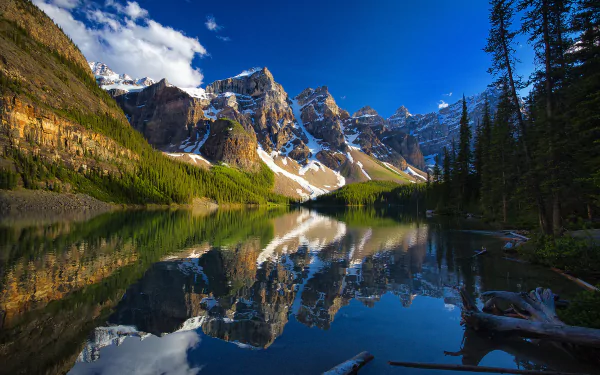Moraine Lake in Banff National Park, Alberta, Canada, reflects towering snow-capped mountains and surrounding pine trees on its clear, calm waters.