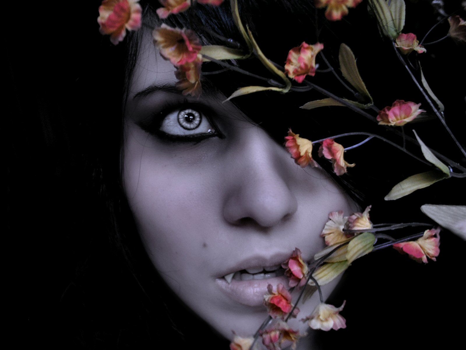 HD fantasy vampire desktop wallpaper featuring a pale, intense-eyed figure partially obscured by withered flowers against a dark background.