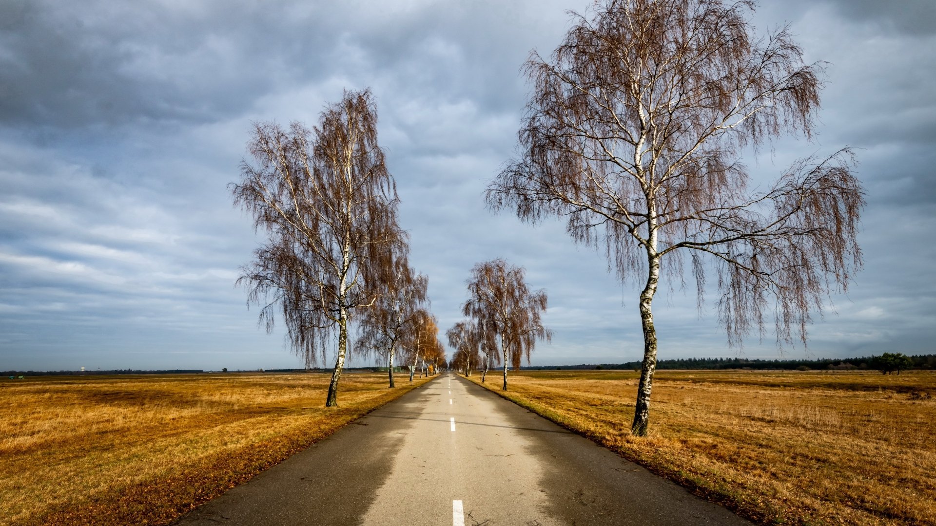 Download Man Made Road 4k Ultra HD Wallpaper | 3840x2160 | Wallpaper Abyss