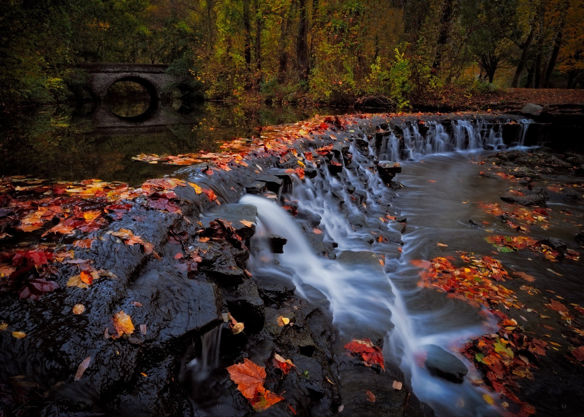 Autumn Serenity: Forest Waterfall and Bridge in HD Nature Wallpaper ...
