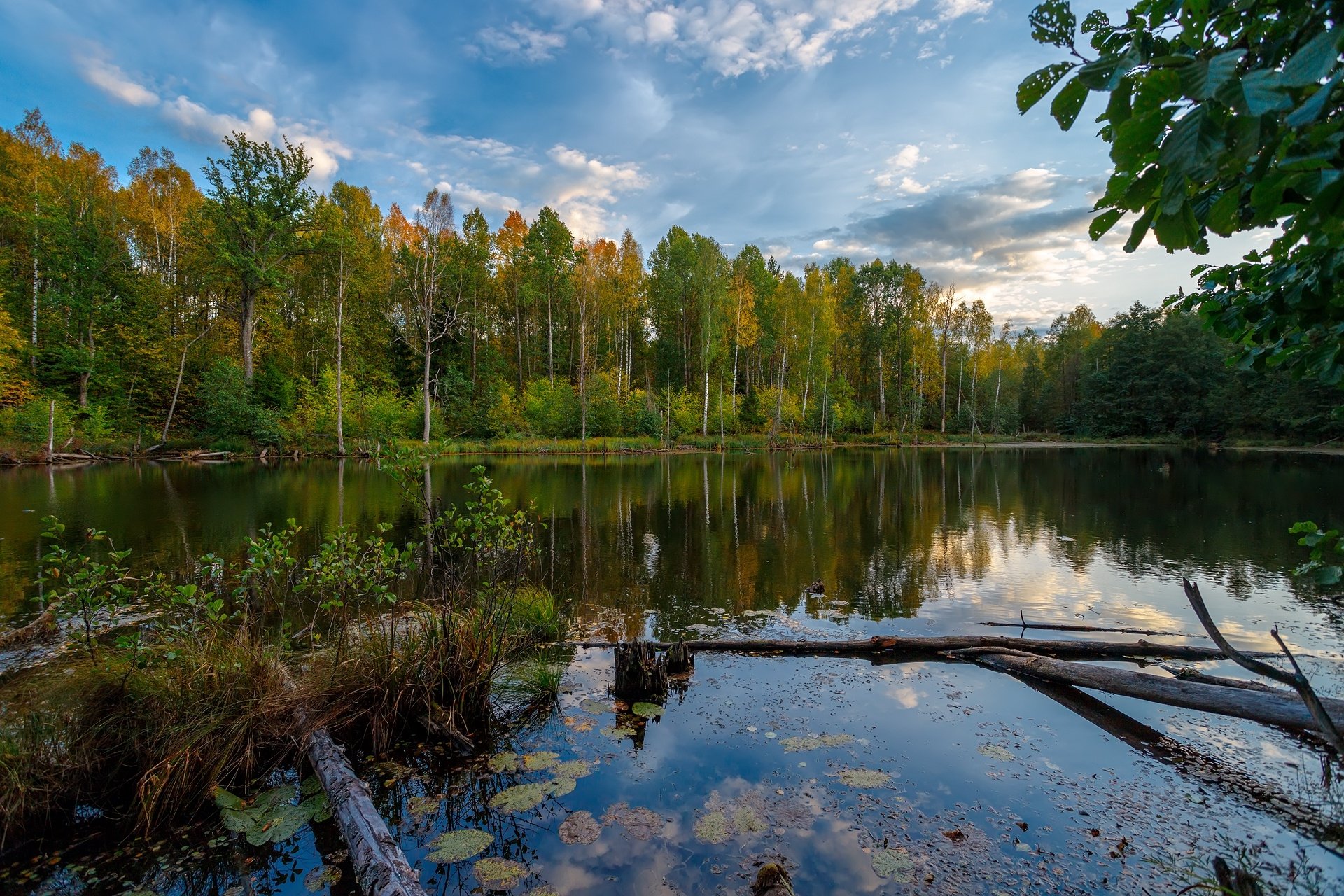 Download Reflection Nature Landscape Forest Fall Lake HD Wallpaper ...