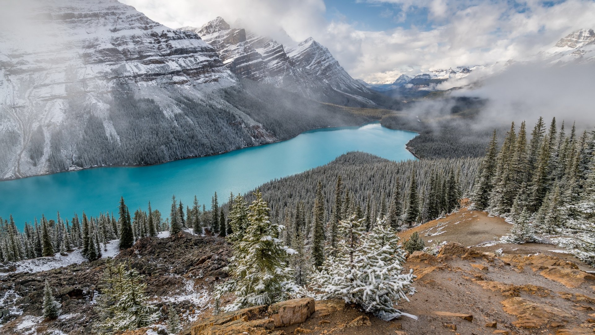 Download Snow Fir Tree Lake Nature Mountain Peyto Lake Snowy Mountain 4k Ultra HD Wallpaper