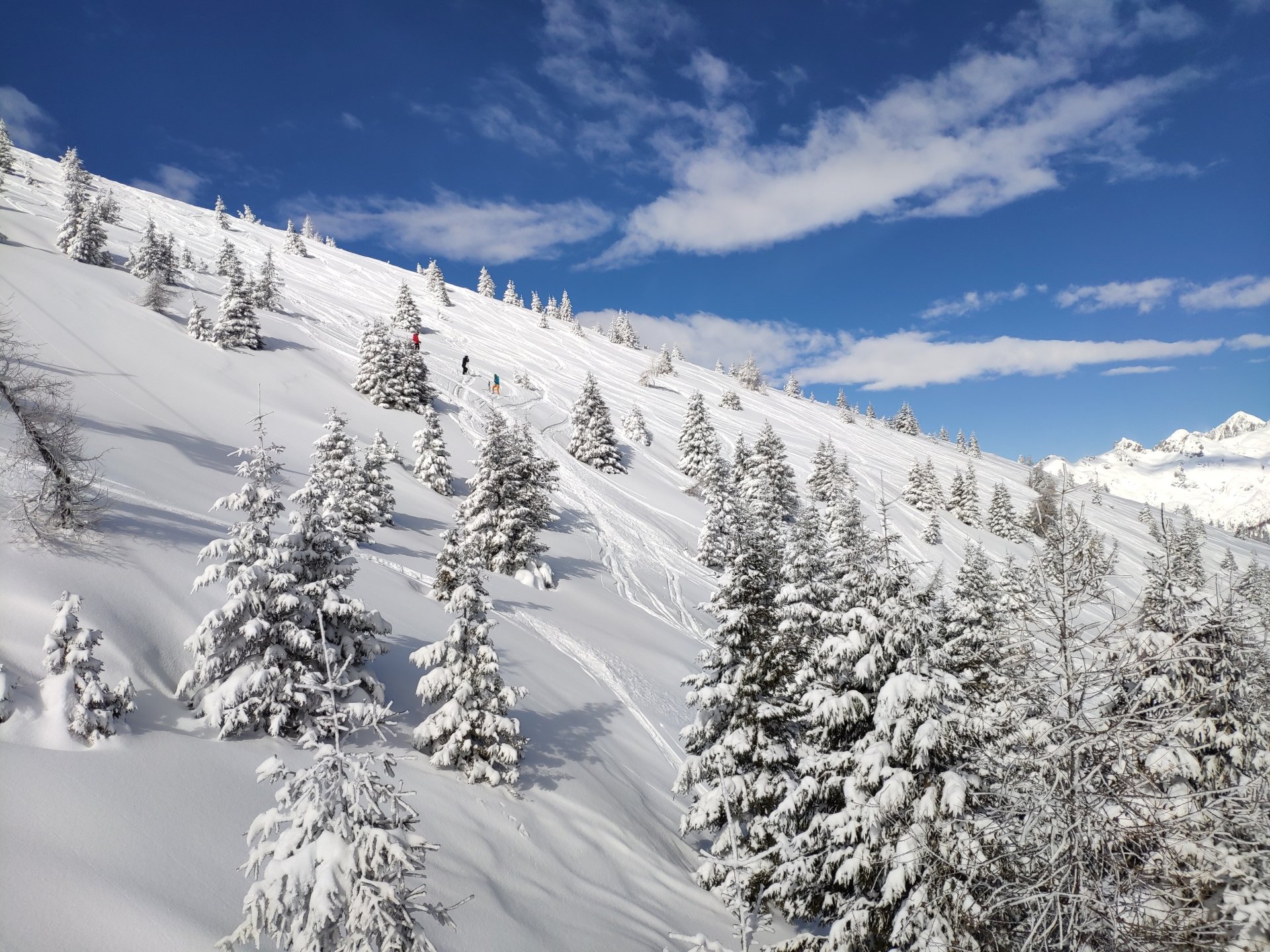 4K Ultra HD desktop wallpaper: snow-covered spruce trees on a winter mountain slope with snowy peaks and a vivid blue sky, nature scene for PC background.