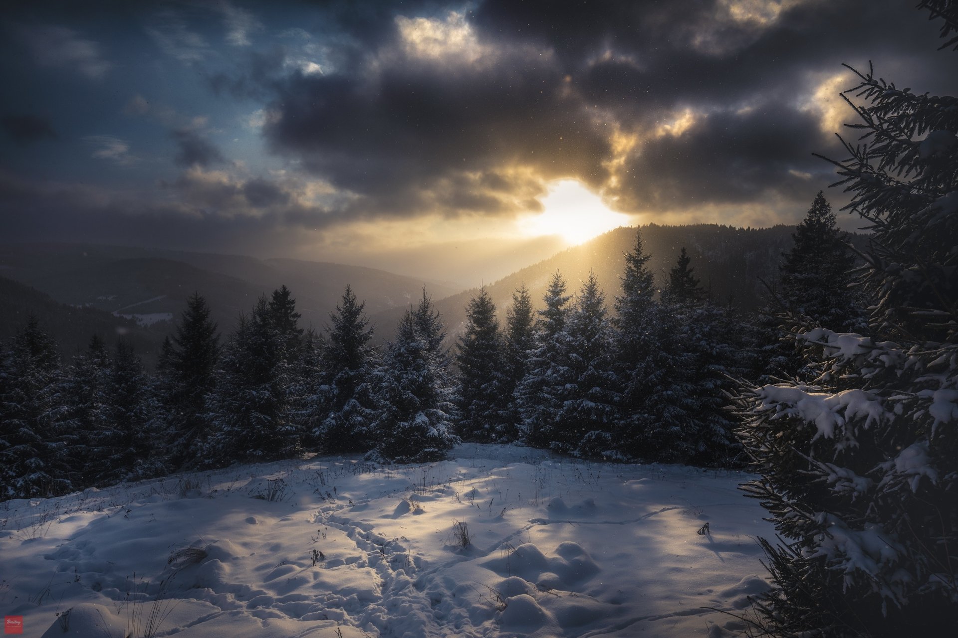 2K Quad HD desktop wallpaper of sunbeams breaking through clouds over a snow-covered Carpathian spruce forest and snowy mountain in winter.