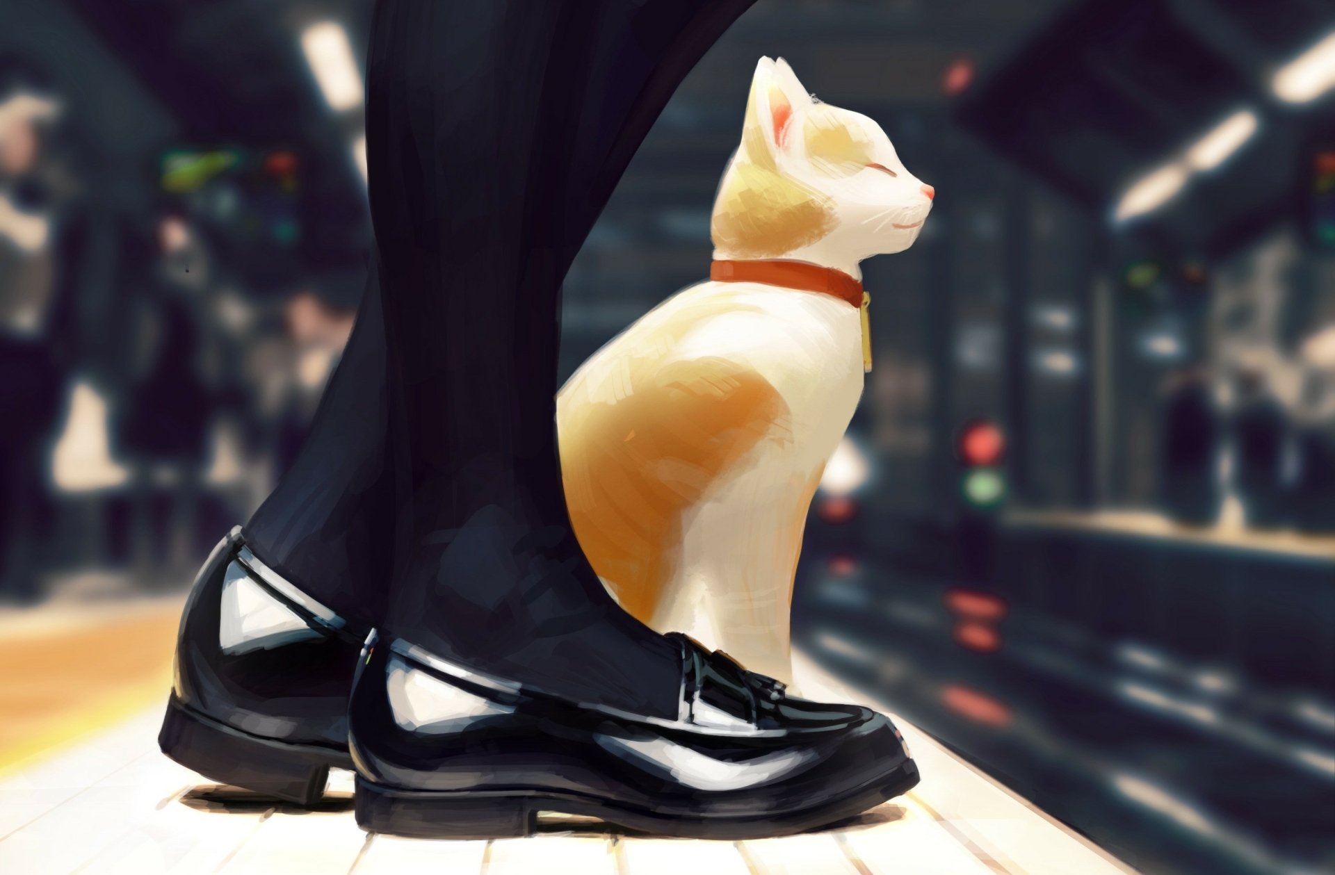 Anime desktop wallpaper featuring a city background with a cat sitting beside a person's legs in shiny black shoes. The image is HD, capturing a moment in an urban environment.