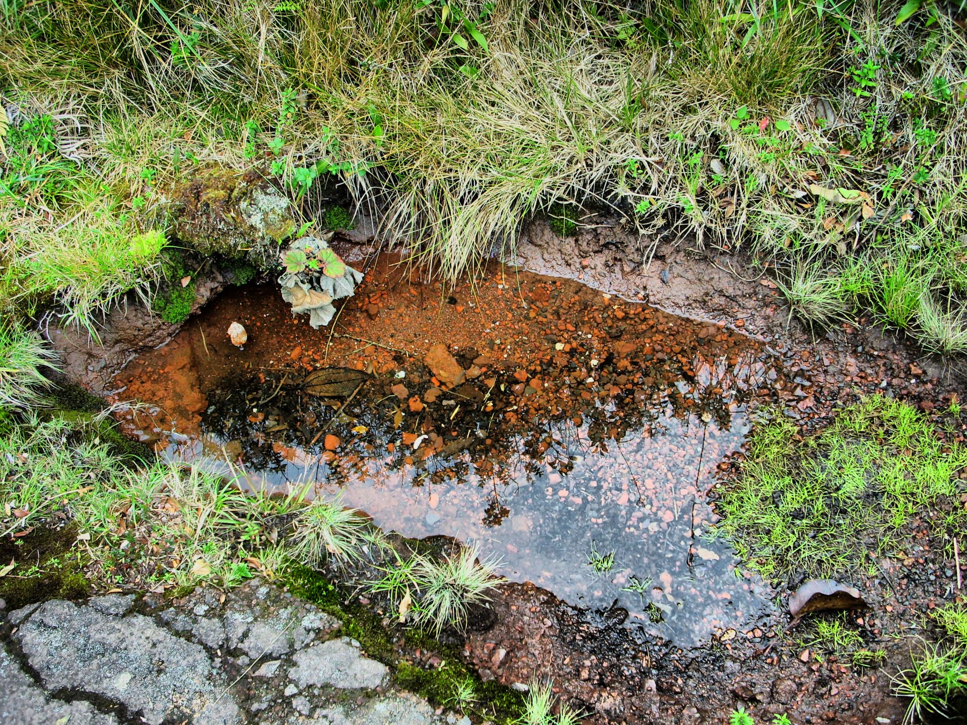 Download Photography Nature Water HD Wallpaper by OoyamaST