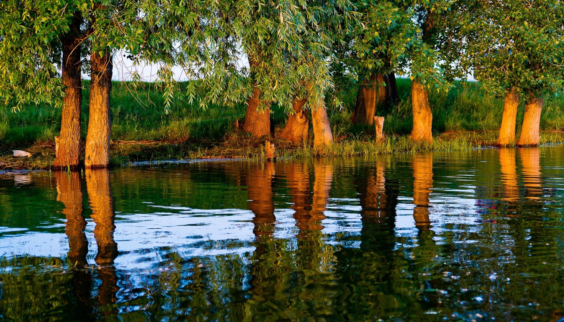 HD PC desktop wallpaper: sunlit tree trunks along a riverbank with vivid reflections rippling across the water, a lush nature scene.