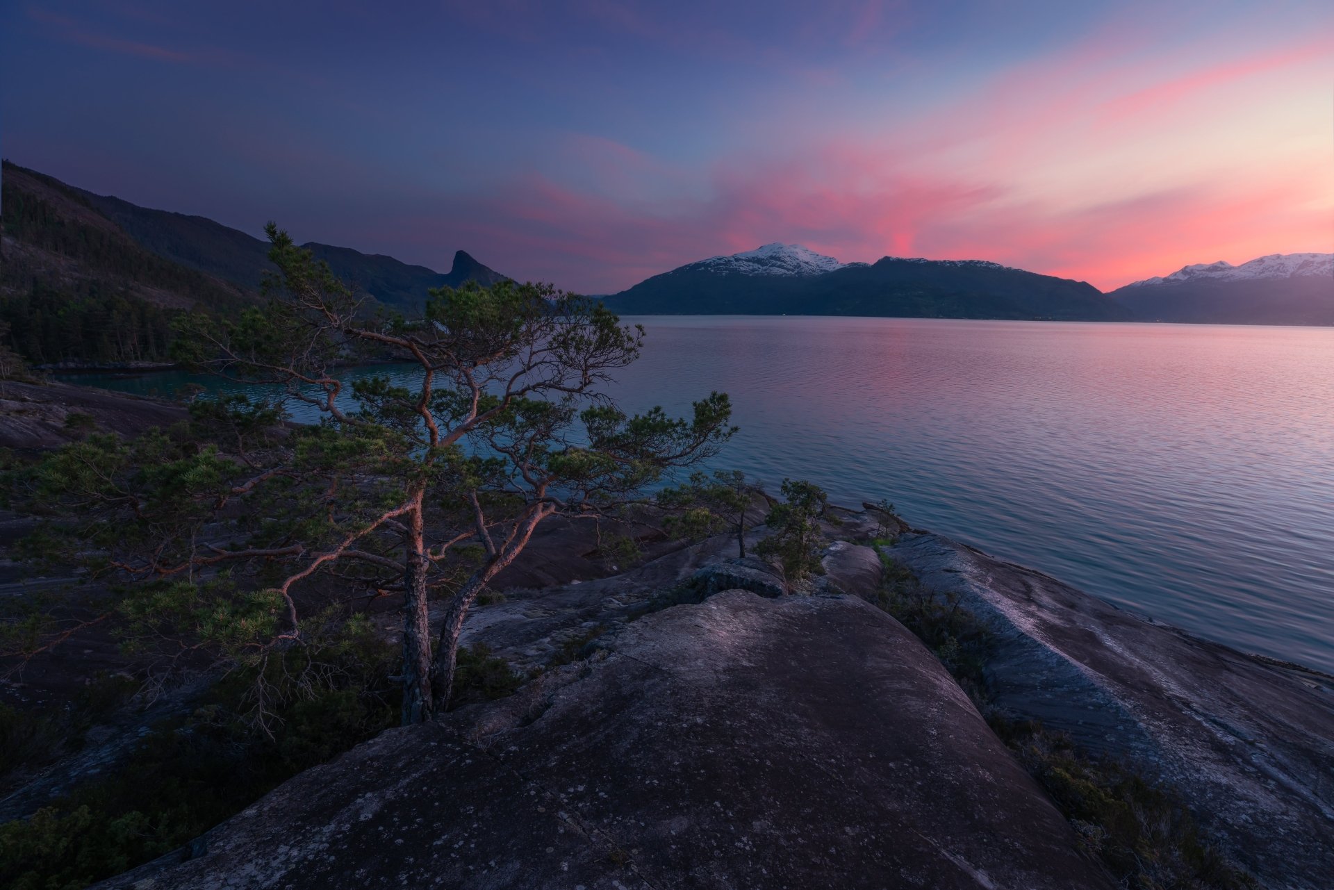 5K Ultra HD PC desktop wallpaper: Norwegian fjord coastline at sunset with a windswept pine on rocky foreground, calm water and snow-capped mountains under a pink-purple sky.