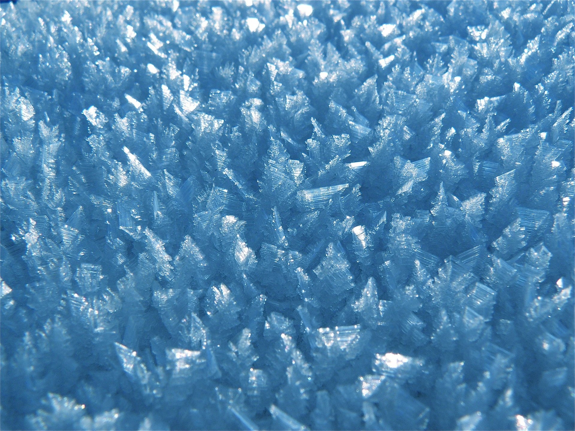Download Frost Close-up Texture Nature Ice HD Wallpaper