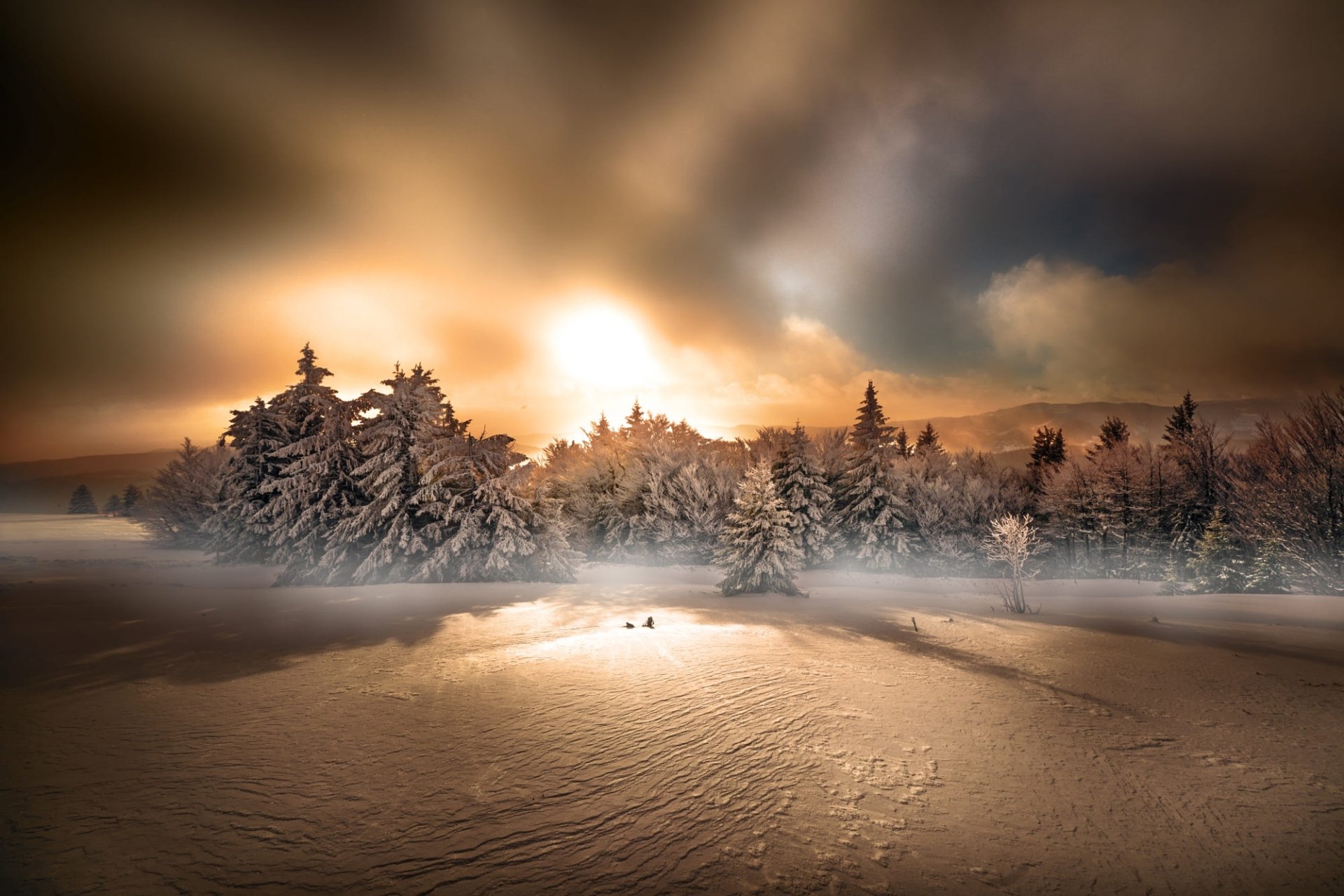 Download Nature Sunset Snow Forest Winter Winter Sunset HD Wallpaper ...