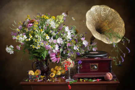 fruit currants peach apricot gramophone flower bouquet photography still life HD Desktop Wallpaper | Background Image