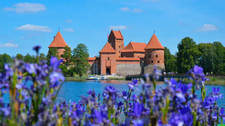 castle flower bridge Lithuania man made Trakai Island Castle HD Desktop Wallpaper | Background Image
