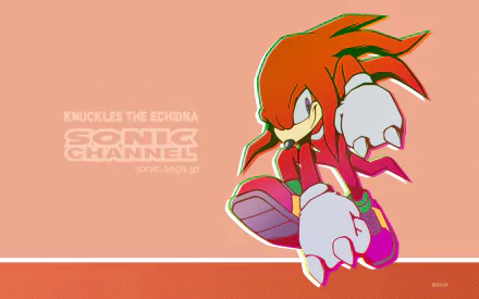 Sonic Channel Knuckles the Echidna video game Sonic the Hedgehog HD Desktop Wallpaper | Background Image