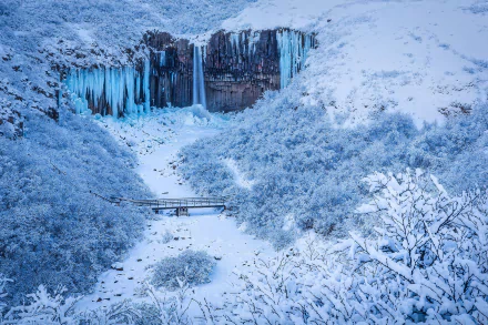 HD desktop wallpaper: snowy Svartifoss in an Iceland national park — a frozen waterfall with blue icicles spilling above a river and a small footbridge amid snow-covered cliffs and trees.
