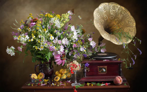 fruit currants peach apricot gramophone flower bouquet photography still life HD Desktop Wallpaper | Background Image