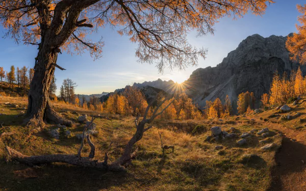 sunbeam mountain Julian Alps fall nature alps HD Desktop Wallpaper | Background Image