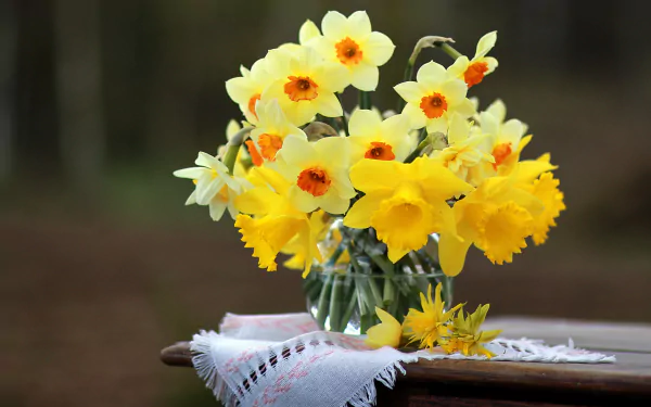 daffodil napkin table vase man made flower HD Desktop Wallpaper | Background Image