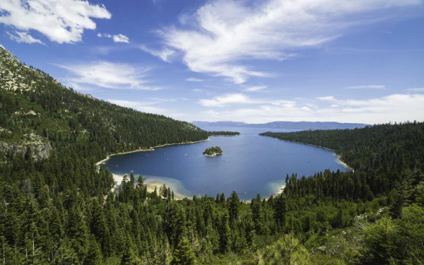 forest bay nature Lake Tahoe HD Desktop Wallpaper | Background Image