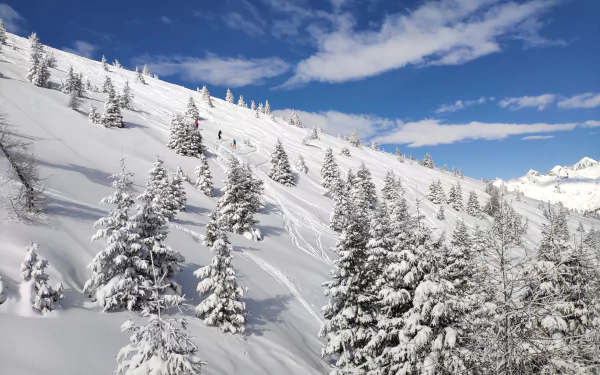 4K Ultra HD desktop wallpaper: snow-covered spruce trees on a winter mountain slope with snowy peaks and a vivid blue sky, nature scene for PC background.