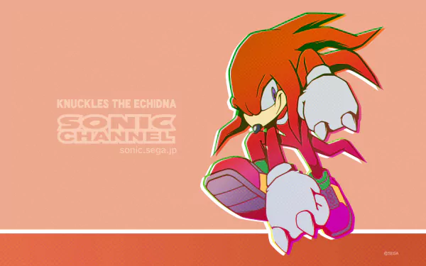 Sonic Channel Knuckles the Echidna video game Sonic the Hedgehog HD Desktop Wallpaper | Background Image