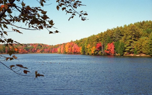 Photography Lake Lakes Fall Massachusetts HD Wallpaper | Background Image