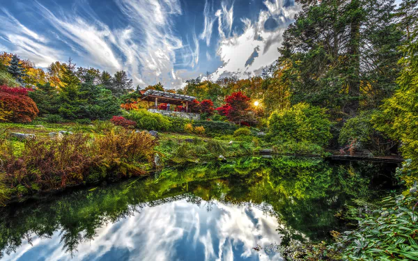 Bush-lined pond in a Seattle, USA park, vivid HDR photography with dramatic clouds reflected in the water — 4K Ultra HD PC desktop wallpaper.