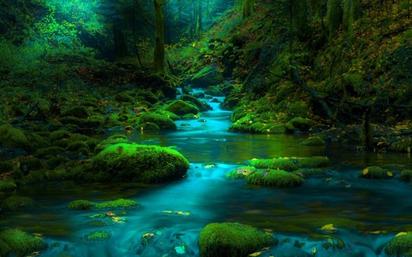 Earth Stream Nature Moss Greenery Stone HD Wallpaper | Background Image