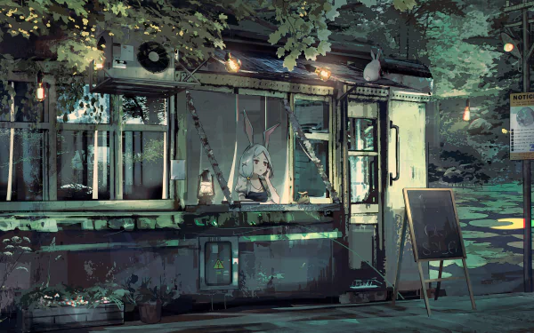 animal ears Anime shop HD Desktop Wallpaper | Background Image