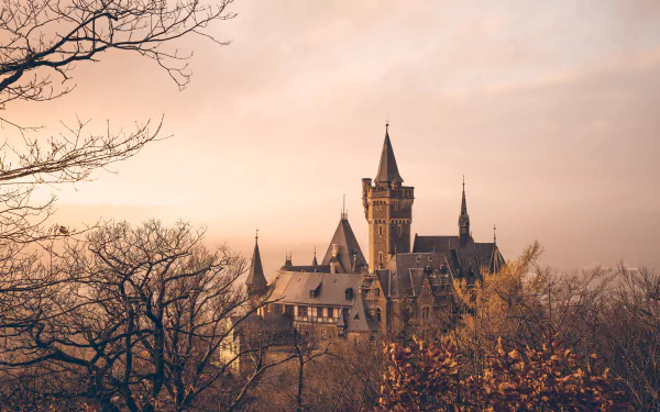 Wernigerode Castle in Germany stands majestically at sunset, framed by autumn trees in this 8K Ultra HD desktop wallpaper.