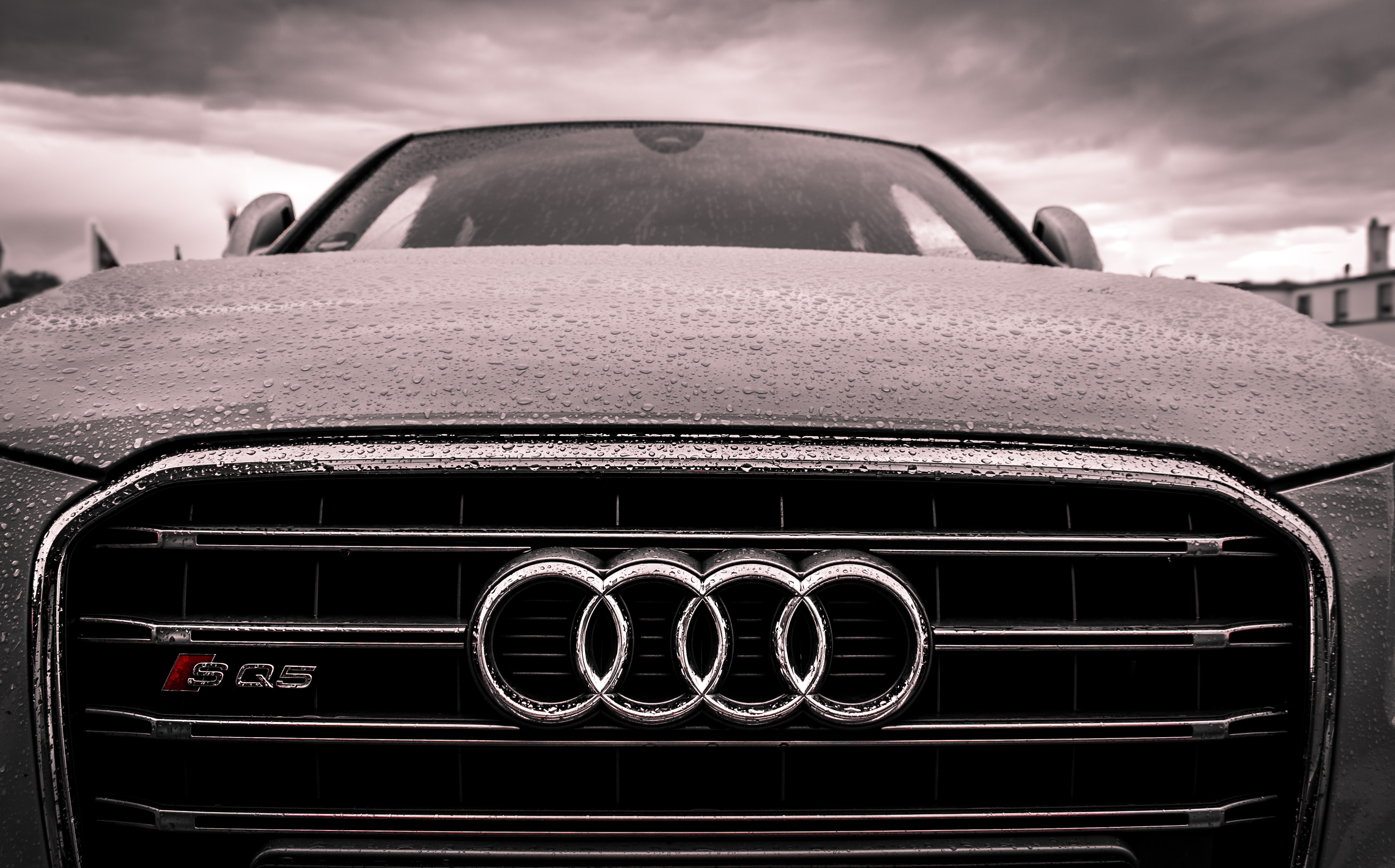 Vehicles Audi SQ5 HD Wallpaper | Background Image