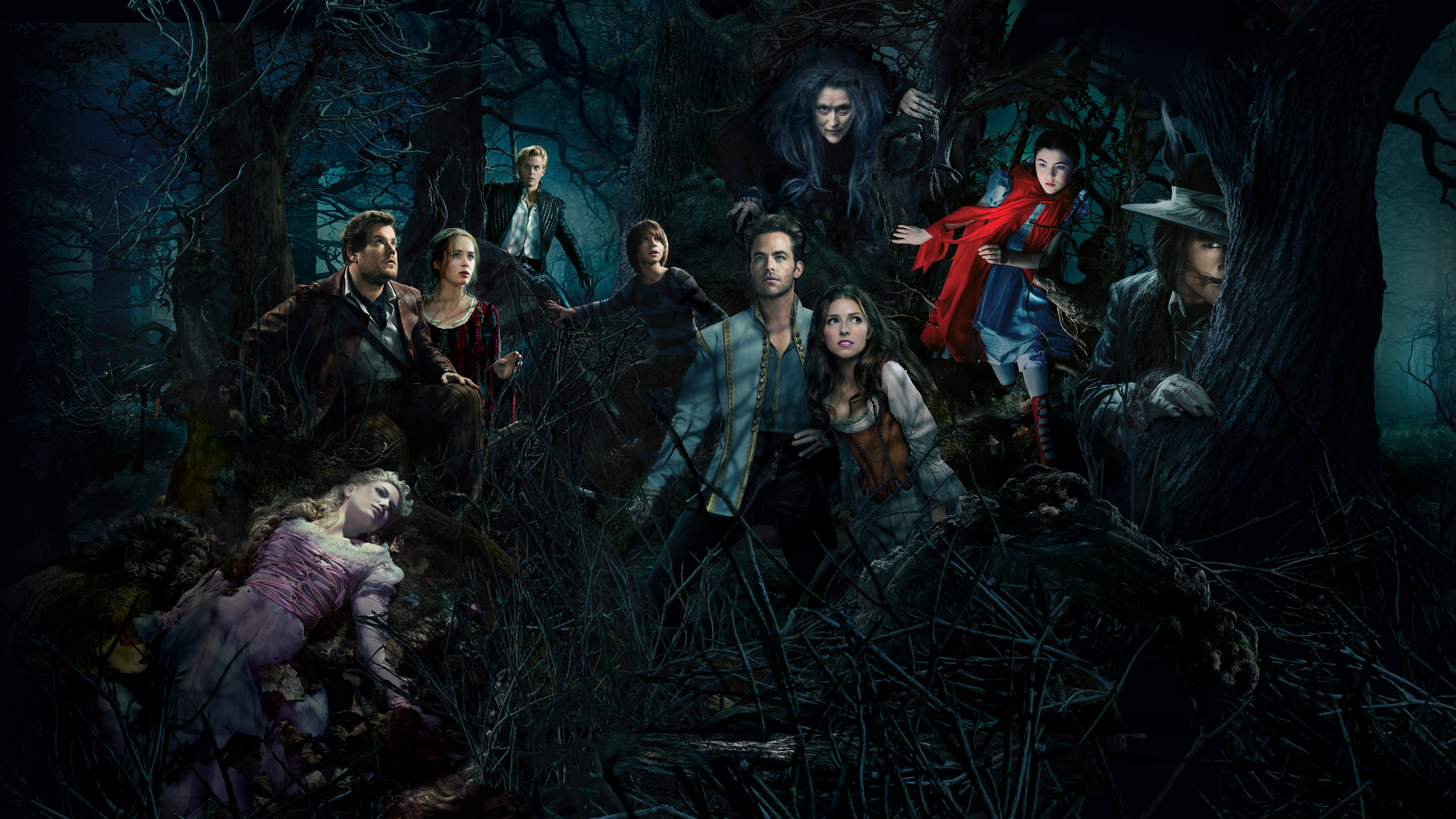 Movie Into The Woods (2014) HD Wallpaper | Background Image