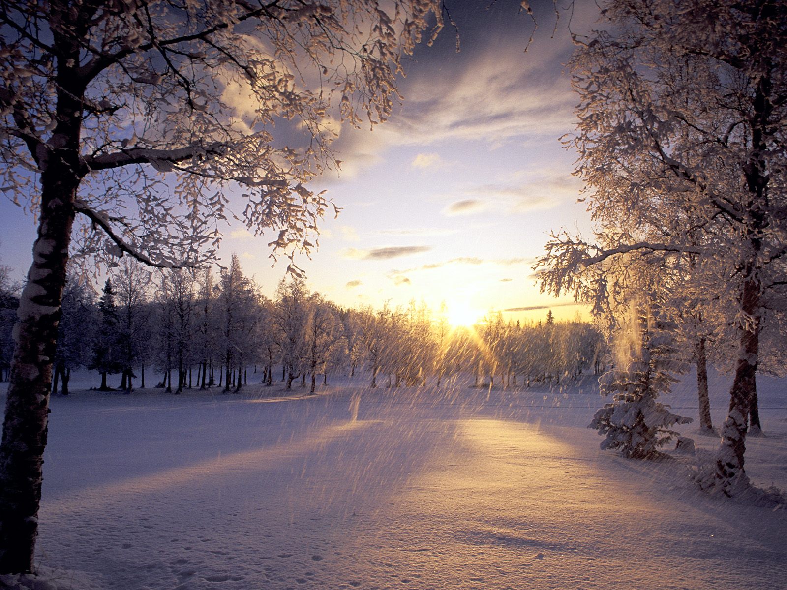 Silent winter sunset over snowy landscape