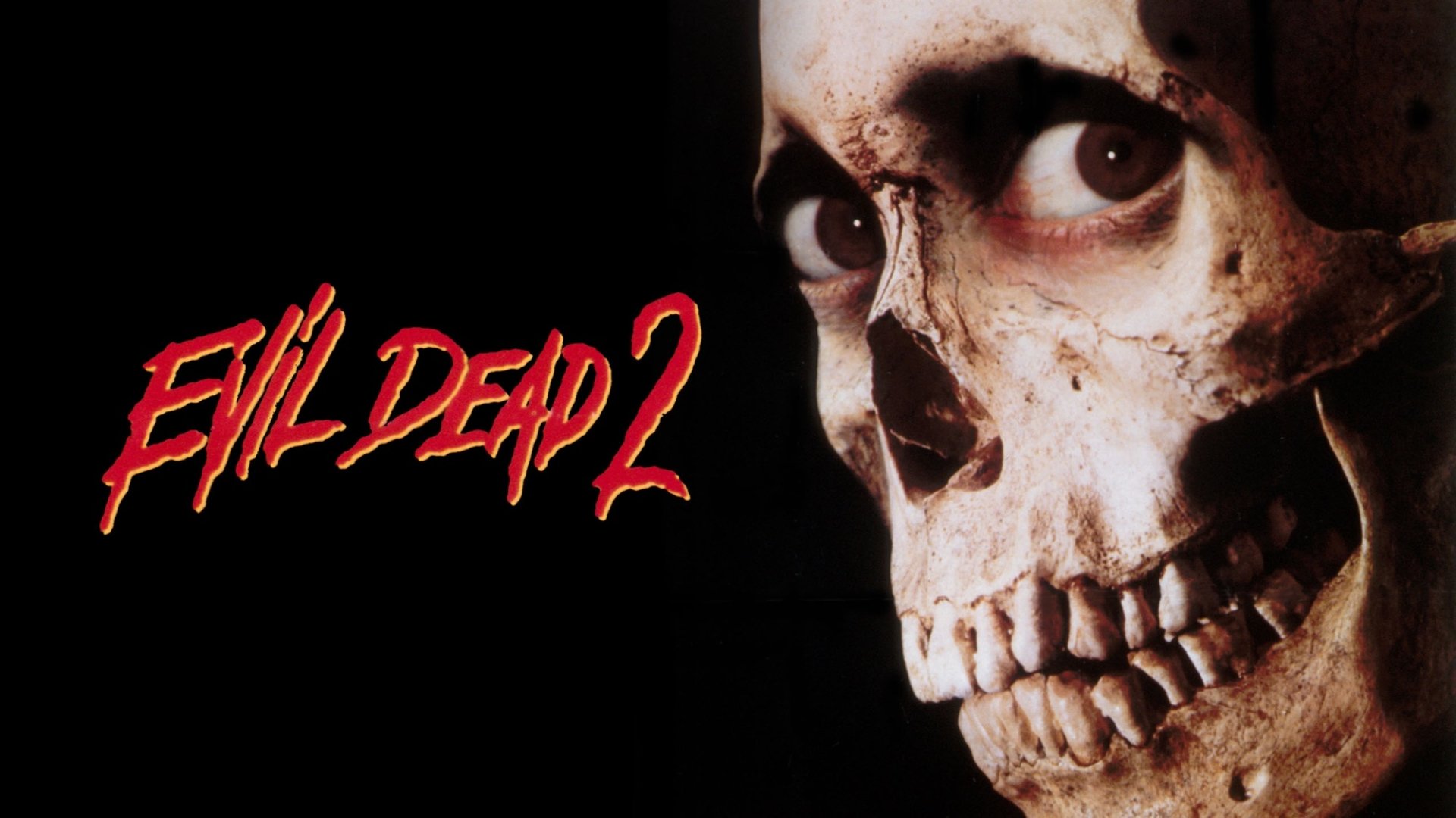 Download Movie Evil Dead II HD Wallpaper