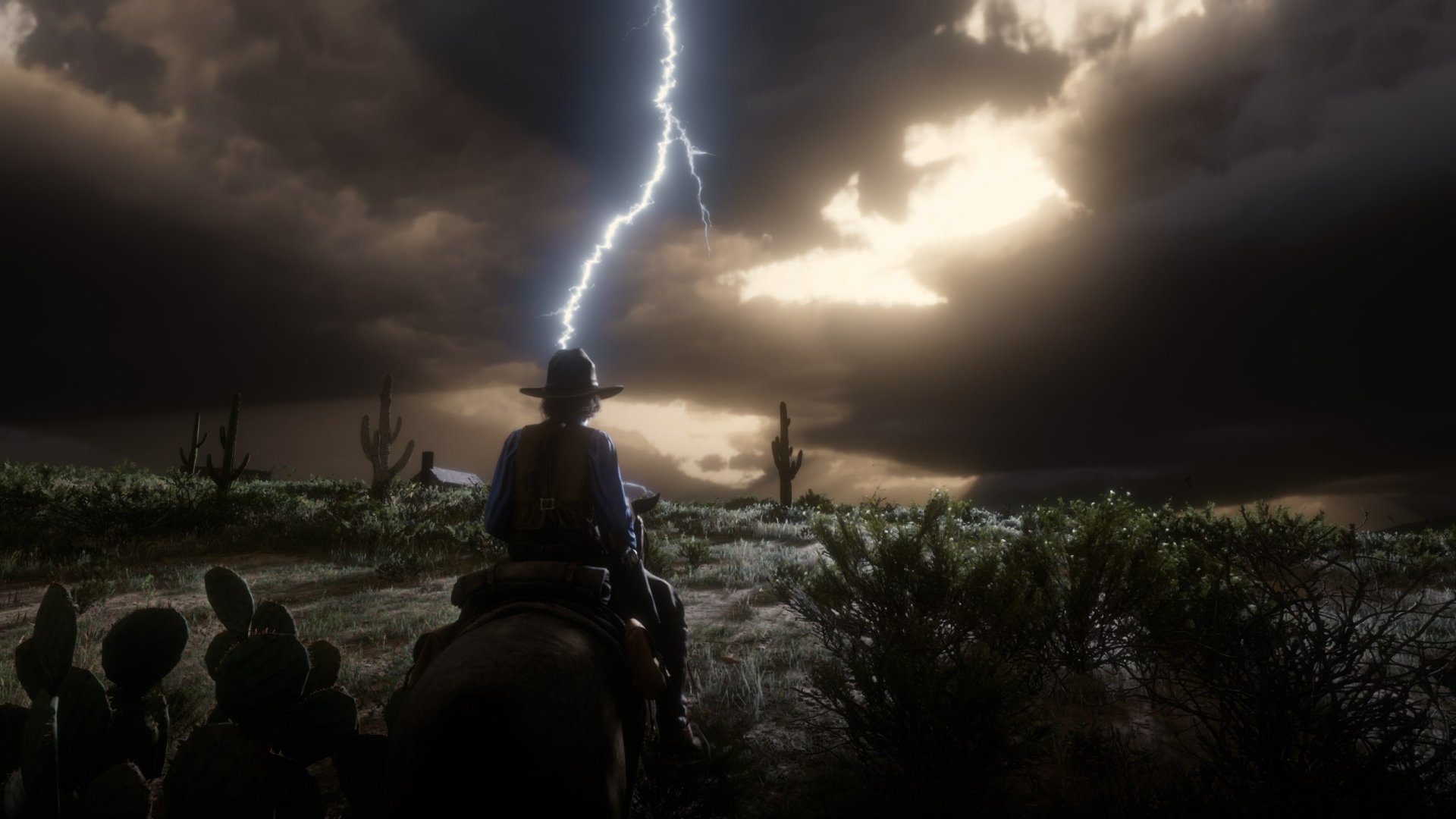 Download Red Dead Redemption 2 Video Game Red Dead Online  HD Wallpaper