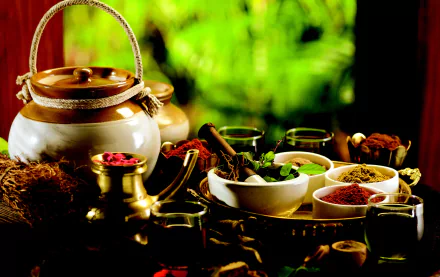 still life spices food Herbs and Spices HD Desktop Wallpaper | Background Image