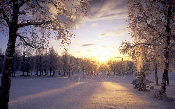 Earth Winter Sunset HD Wallpaper | Background Image